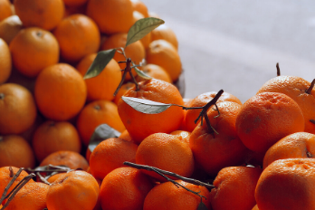 Healthy Production in Isotlar Tarım with Global GAP Certificate!