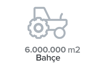 4.000.000 m2 Bahçe