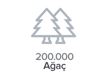 200.000 Ağaç