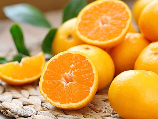 Mandalina